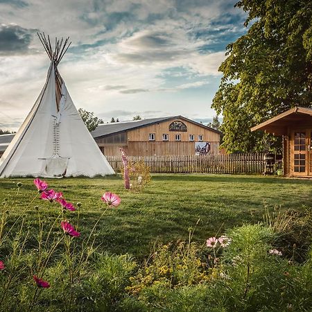 Ranchhouse Bubble - Westernstable - Horse Elterlein Dış mekan fotoğraf