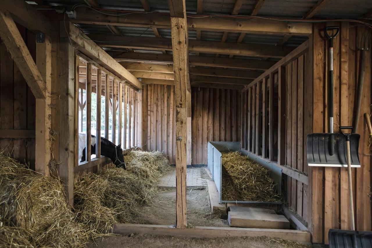 Ranchhouse Bubble - Westernstable - Horse Elterlein Dış mekan fotoğraf