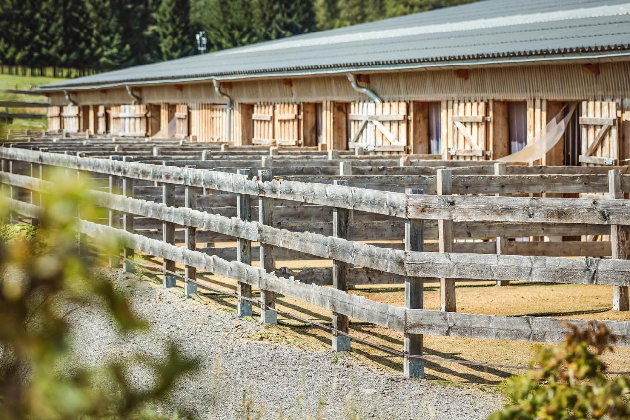 Ranchhouse Bubble - Westernstable - Horse Elterlein Dış mekan fotoğraf