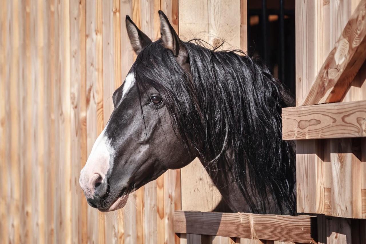 Ranchhouse Bubble - Westernstable - Horse Elterlein Dış mekan fotoğraf